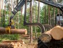 holz koch holzhandel  