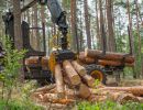 holz koch holzhandel  