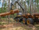 holz koch holzhandel  