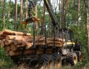 holz koch holzhandel  
