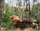 holz koch holzhandel  