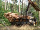 holz koch holzhandel  