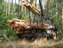holz koch holzhandel  