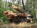 holz koch holzhandel  