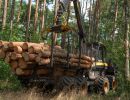 holz koch holzhandel  
