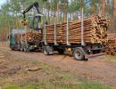 holz koch holzhandel  