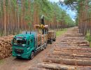 holz koch holzhandel  