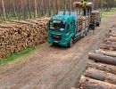 holz koch holzhandel  
