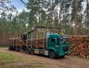 holz koch holzhandel  