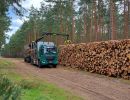 holz koch holzhandel  