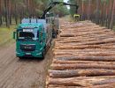 holz koch holzhandel  