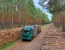 holz koch holzhandel  