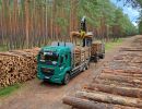 holz koch holzhandel  
